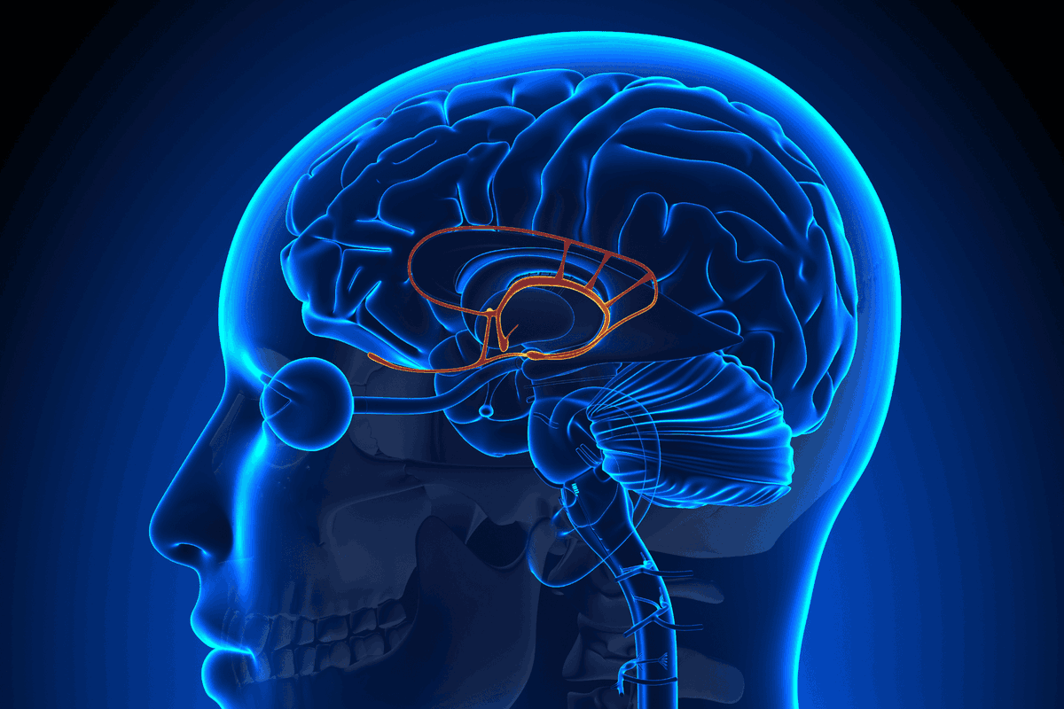 John Constas tweet media