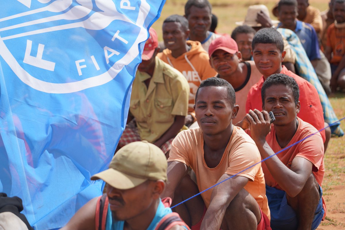 PatriceTalla's tweet photo. @FAO at the forefront to reduce #El_Niño impacts.
During the briefing on the situation organized by @rghelani today, I pledged for the $360 million Regional Response and Preparedness Plan #ERRP.
We need to join forces to restore #agrifood security &amp; livelihoods in #SouthernAfrica https://t.co/Ct6x9u2ZKs