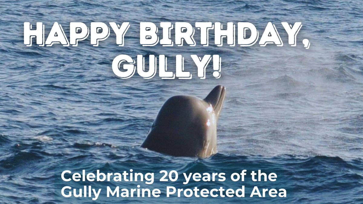 Let's make a splash for the Gully's 20th birthday bash! 🌊
For two decades, this unique ecosystem has been protecting marine life and nurturing biodiversity. 🐟  #GullyMPAat20

<a href="/DFO_MAR/">DFO Maritimes</a> <a href="/DiLebouthillier/">Diane Lebouthillier</a>
#Canada