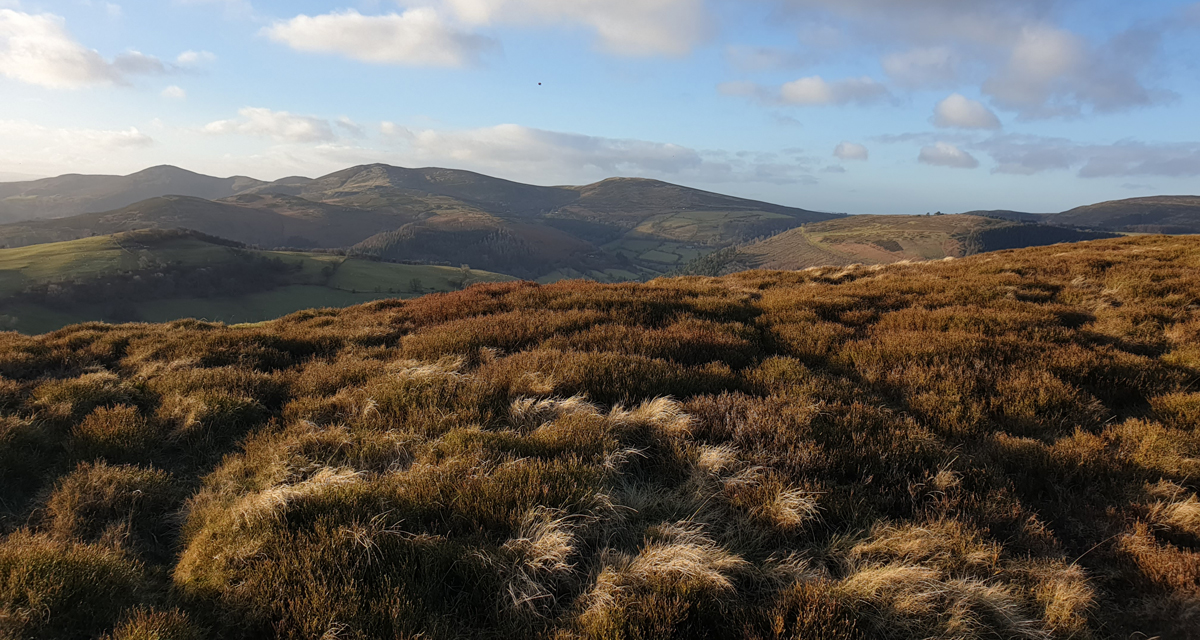 Uni of Exeter's ESI (@uniofexeteresi) on Twitter photo We are helping improve #biodiversity outcomes on common land with national partners like <a href="/nationaltrust/">National Trust</a> on the <a href="/NERCscience/">Natural Environment Research Council</a> funded <a href="/RENEW_nature/">RENEW</a> project.
renewbiodiversity.org.uk/co-design-to-i…
#GenerationRestoration
#WorldEnvironmentDay We are helping improve #biodiversity outcomes on common land with national partners like <a href="/nationaltrust/">National Trust</a> on the <a href="/NERCscience/">Natural Environment Research Council</a> funded <a href="/RENEW_nature/">RENEW</a> project.
renewbiodiversity.org.uk/co-design-to-i…
#GenerationRestoration
#WorldEnvironmentDay
