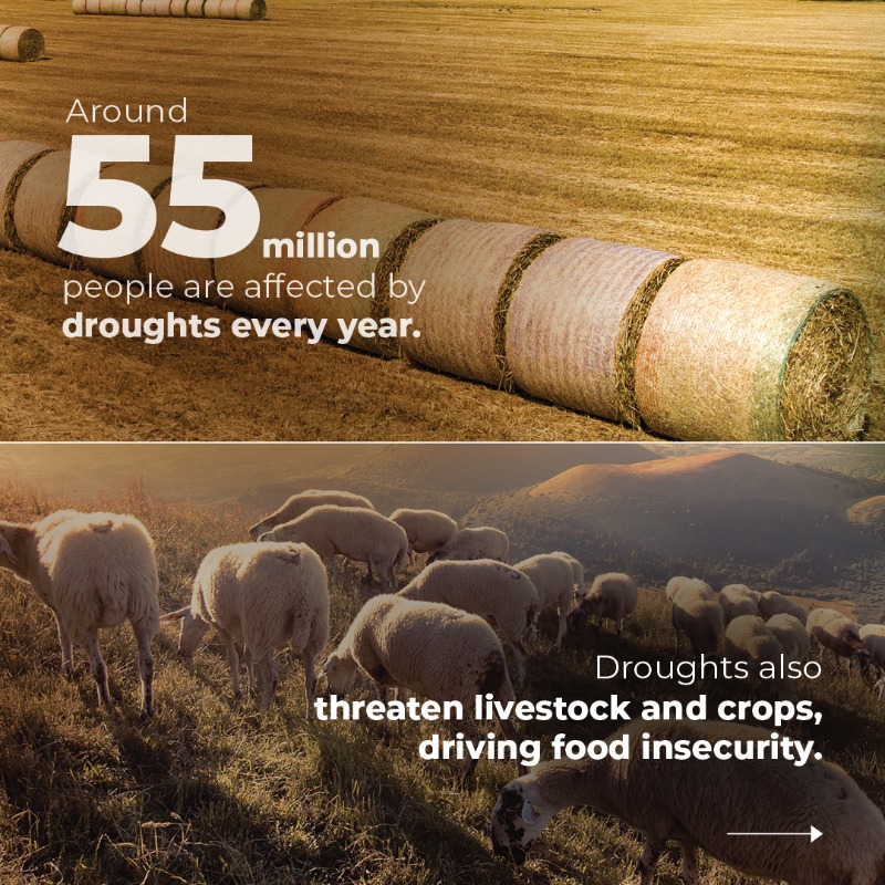 OCHASom's tweet photo. What do you know about droughts?

In #Somalia, droughts are some of the recurring climate shocks that impact livelihoods.

The inclusion of environment in humanitarian programming is a responsibility, not a choice.

On #WorldEnvironmentDay, learn more about droughts with @UNEP.