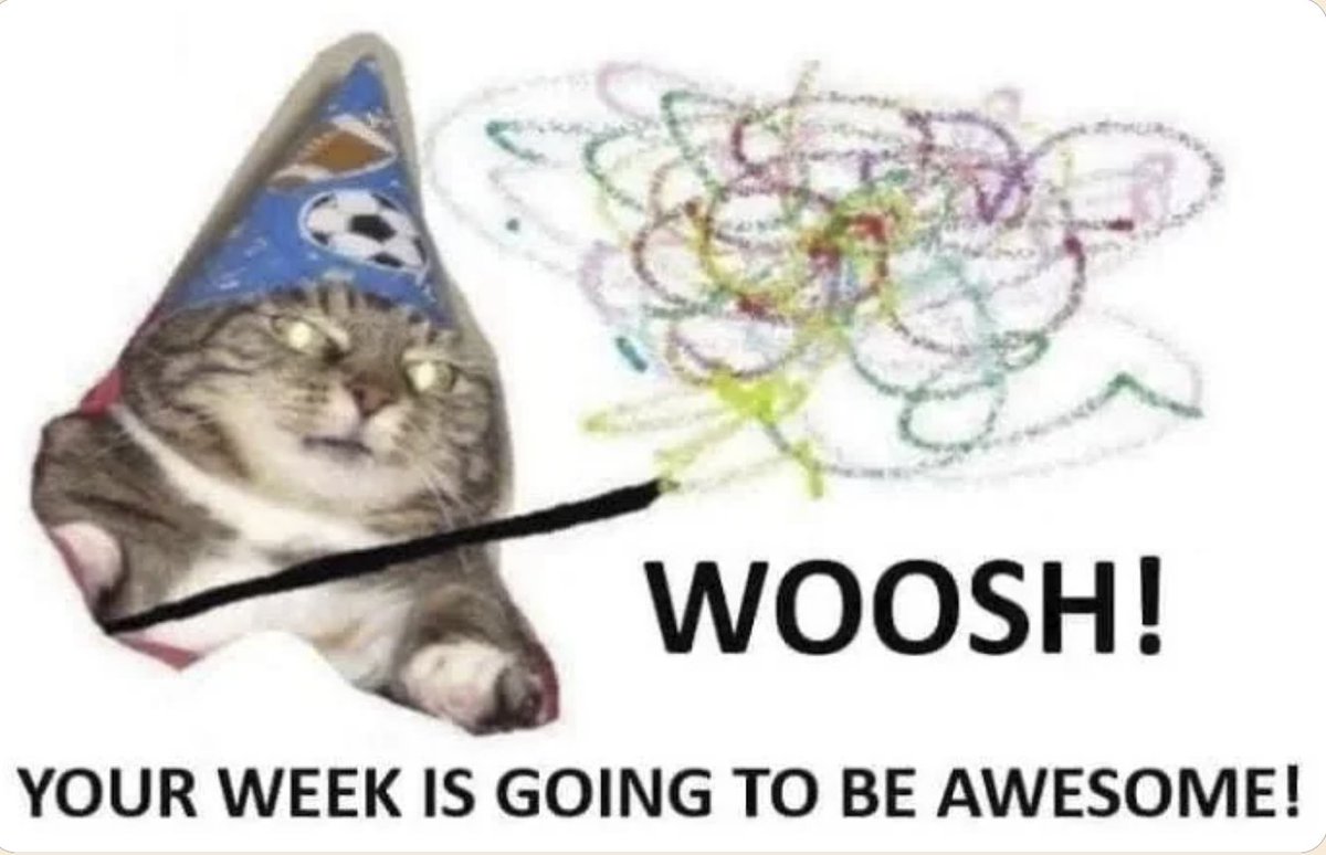 RespectfulMemes's tweet image. 