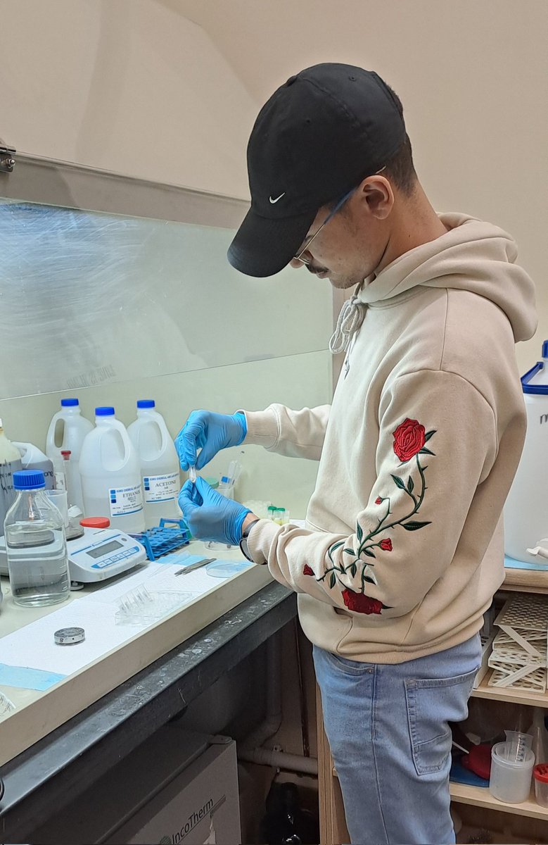 Carol Simon (@simonpolylabsa) on Twitter photo It's #WormWednesday and Lee is learning how to dehydrate #Scolelepis for #SEM <a href="/MatiesResearch/">Research at Stellenbosch University</a> It's #WormWednesday and Lee is learning how to dehydrate #Scolelepis for #SEM <a href="/MatiesResearch/">Research at Stellenbosch University</a>