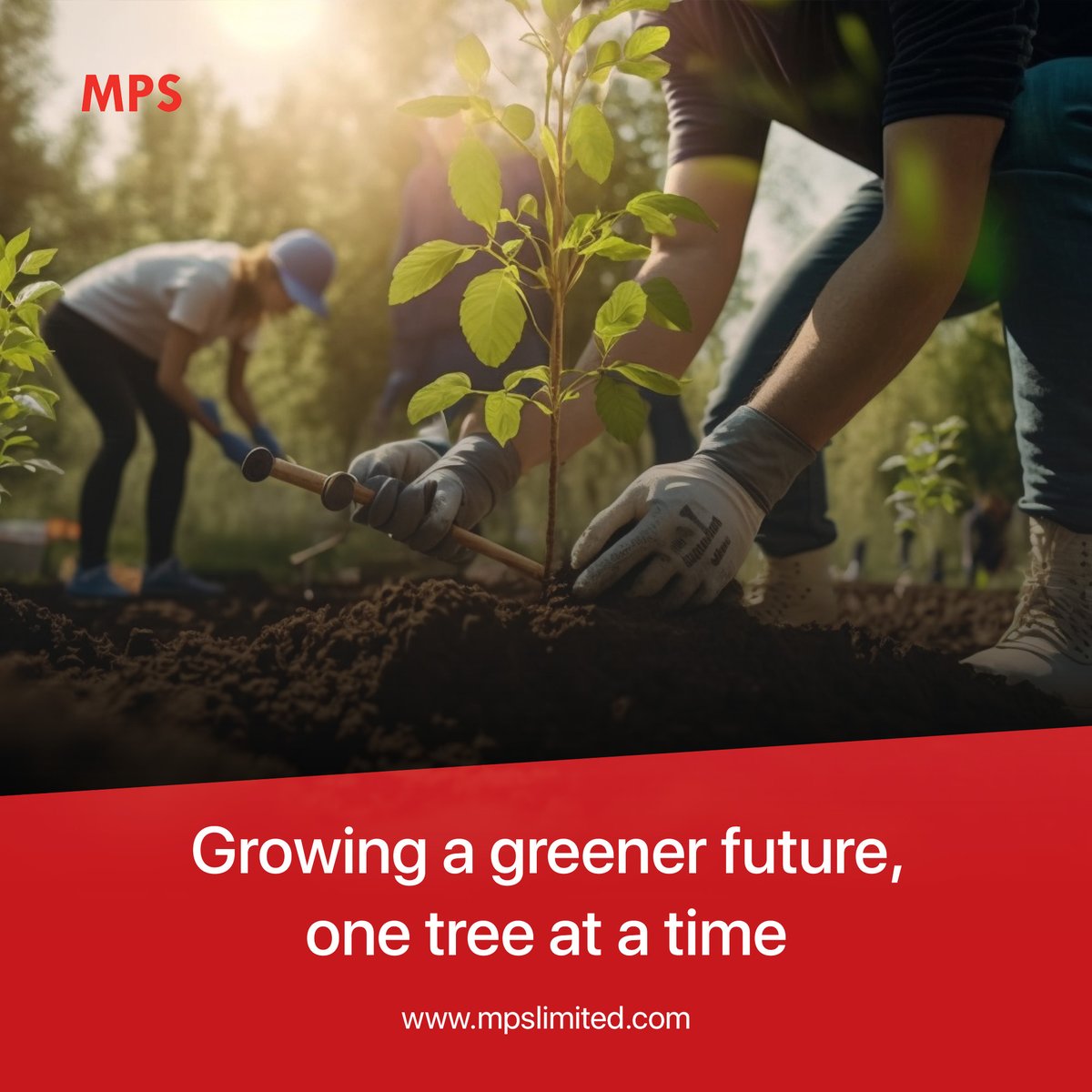 🌿 Join Us in Celebrating #WorldEnvironmentDay! 🌿

Over the past year, MPS has planted a total of 2,406 in collaboration with Grow-Trees.com.

#MPSLimited #GrowTrees #SustainableFuture #EnvironmentalConservation #GoGreen