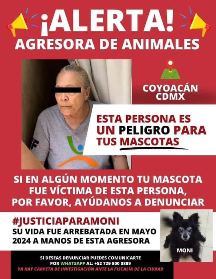 Mundo Patitas AC tweet media