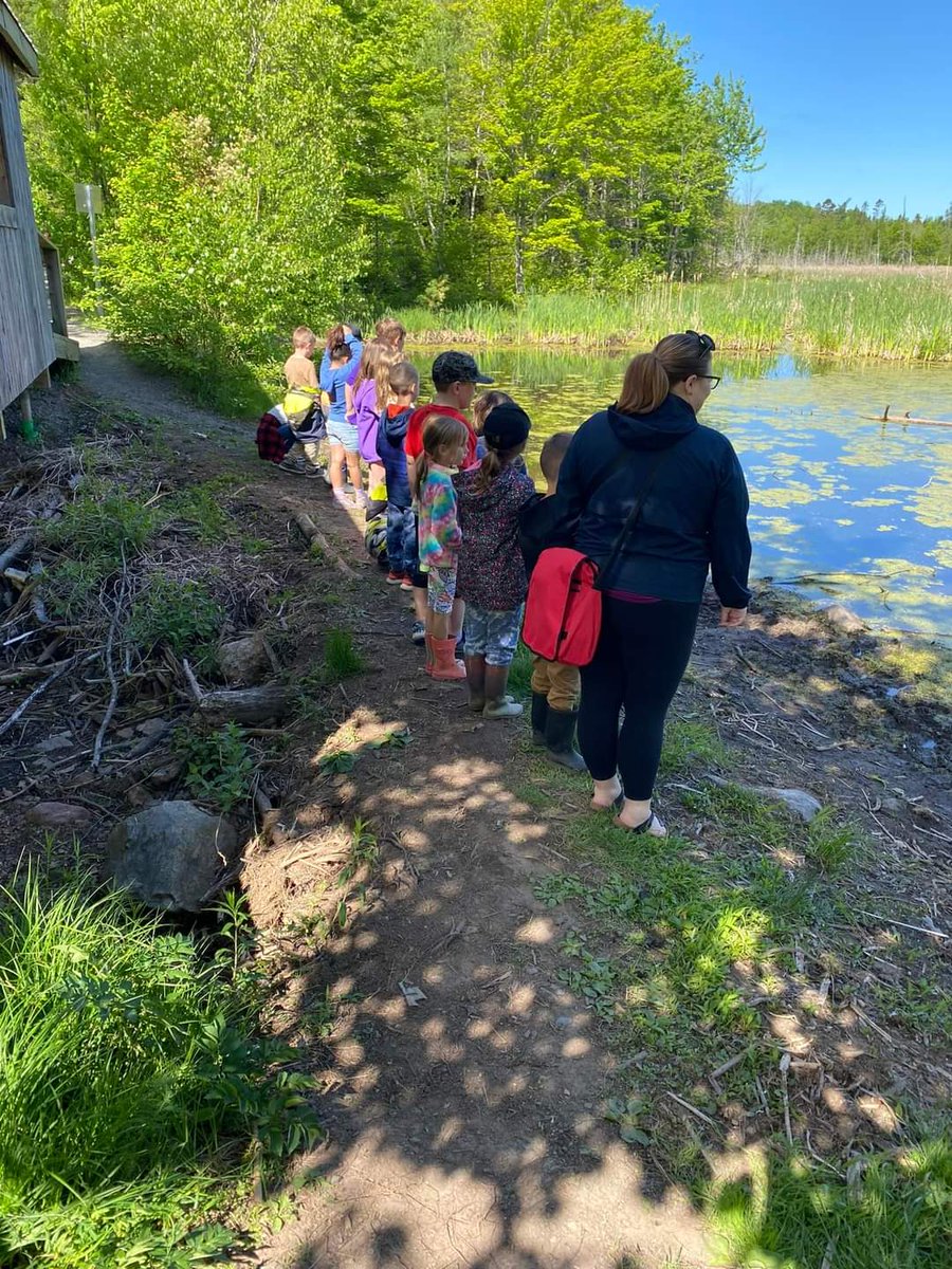 Gesner St. Elementary tweet media