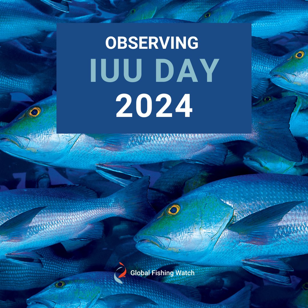 🐟 #IUUFishing undermines conservation efforts and depletes fish stocks faster than they can recover.

🌍 We've joined forces with the Gulf of Guinea Regional Fisheries Commission to help combat this practice in Central Africa.

🌐 Learn how this #IUUDay: bit.ly/4aQOhLI