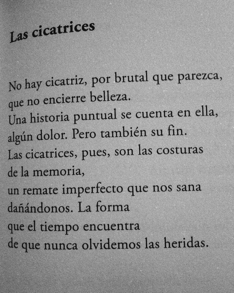 Cementedelibros's tweet photo. ❤️‍🩹 “No hay cicatriz, por brutal que parezca, que no encierre belleza”
Nuestras cicatrices tienen una linda historia. 
La escritora Colombiana, Piedad Bonnett acaba de ganar Premio Reina Sofía de Poesía Iberoamericana 
¿Cuál es tu poema favorito de ella?
#cementeriodelibros https://t.co/ebOAZXCKVc