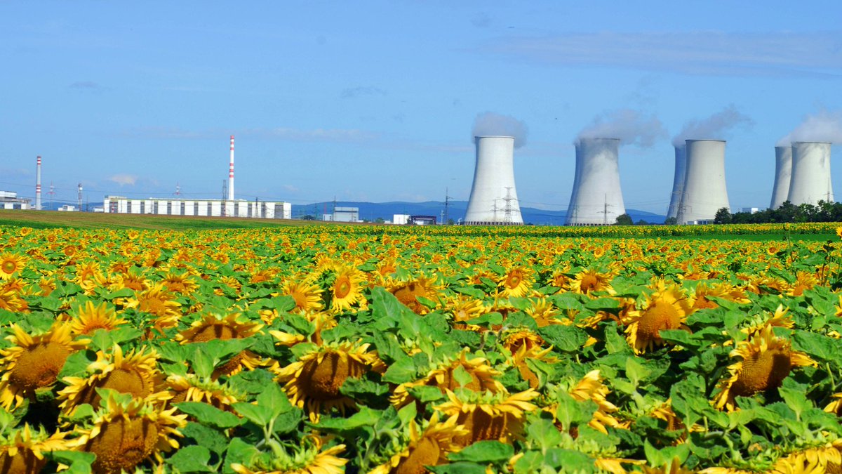 The world is changing, and so must our solutions. 
Nuclear energy can lead us toward a sustainable future.

On this #WorldEnvironmentDay and every day, let's embrace science and innovation to protect our planet for future generations. 

My views: atoms.iaea.org/3Vu6Xwn