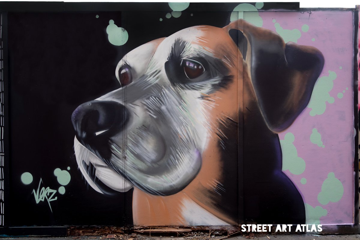 StreetArtAtlas's tweet photo. HIT THE NORTH 24
#verz #macksigns #kayosone #codo
@SeedheadArts
📍Kent Street, Belfast, Northern Ireland
#HTN24 #hitthenorth #belfaststreetart #streetart #graffiti #seedheadarts #visitbelfast #streetartatlas https://t.co/cZQQqRkcbf