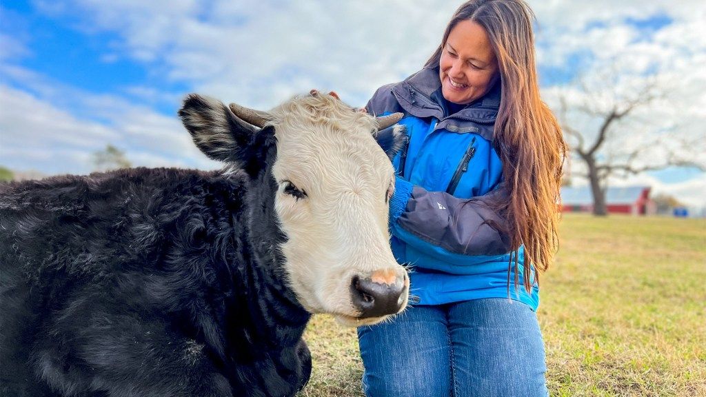 OutdoorsWire's tweet photo. Can cow hug therapy cure what ails you? https://t.co/wtZ5wjAnos https://t.co/jlUP0EXtCC