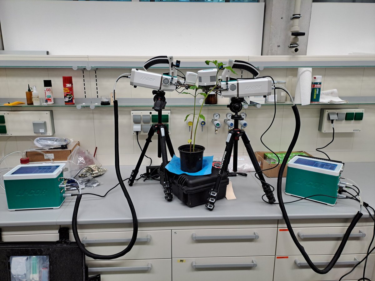 Bernd Berauer tweet media