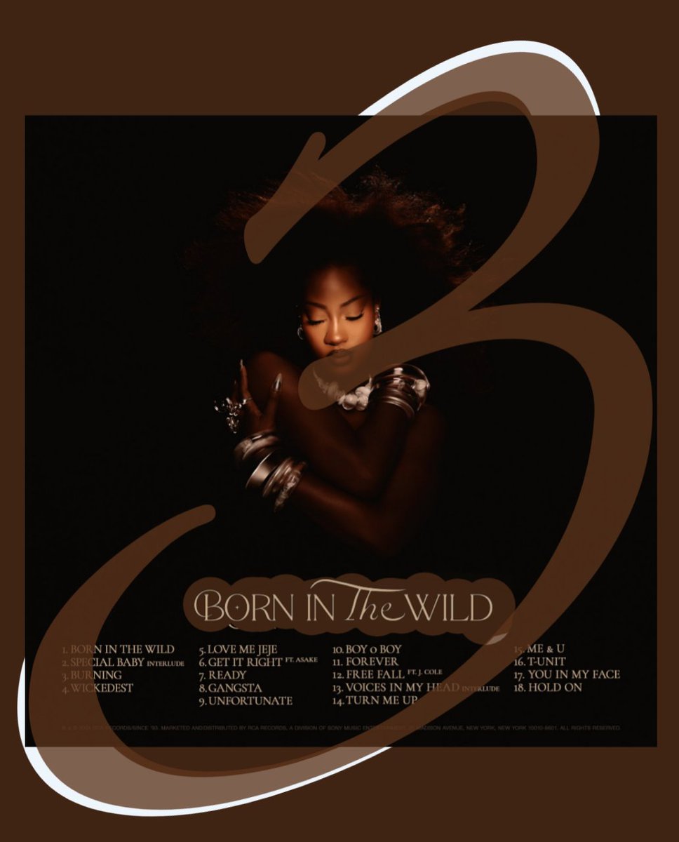 TEMAAone's tweet image. #BornInTheWild
#3DaysCountdown #Tems