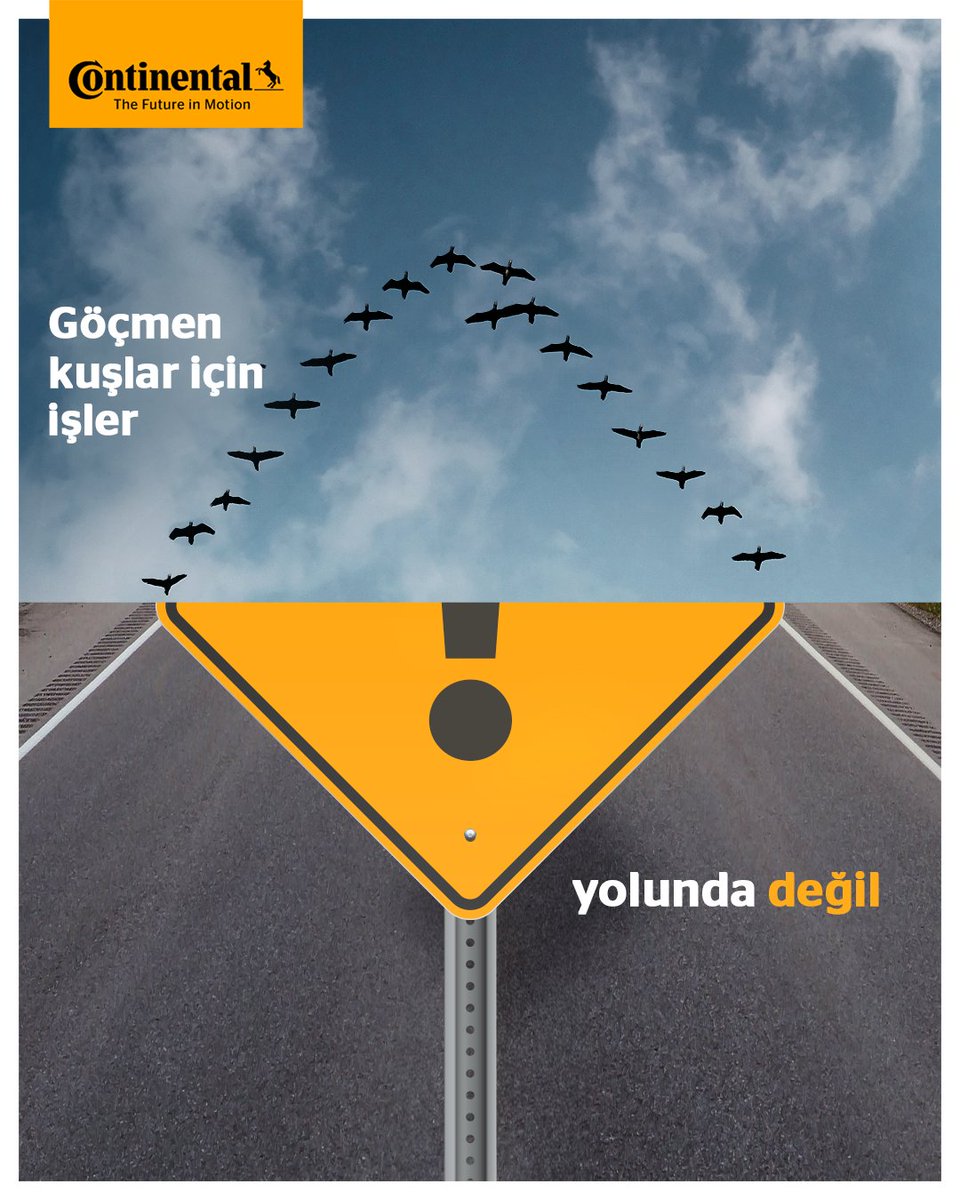 Doğaya bırakılan çöpler, ekolojik dengenin bozulmasına neden oluyor.

Continental olarak, %65'e varan geri dönüştürülmüş malzemelerle üretilen UltraContact NXT lastiklerimizle çevreye zararı azaltıyor, doğayı koruyoruz. 

5 Haziran #DünyaÇevreGünü kutlu olsun! 🌱