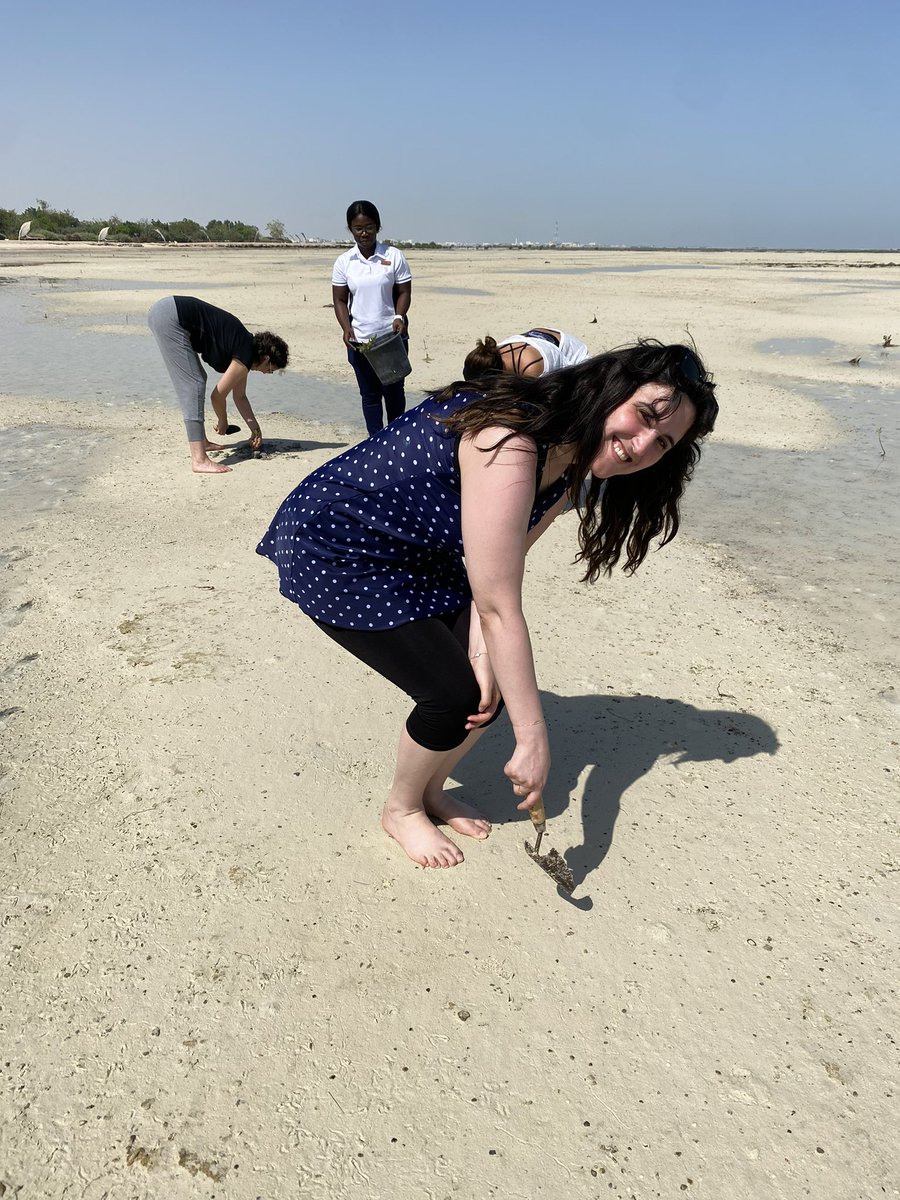EUinQatar's tweet photo. 🌍🌱 On #WorldEnvironmentDay, the EU Delegation reaffirms its green agenda and contributes to Qatar's nature rehabilitation at @resort_zulal . Together, we're taking steps towards a greener, healthier future! #GreenQatar #Sustainability #EUEnvironment 🌳🇪🇺🌍🇶🇦🌱 https://t.co/l2DB0qdeDO