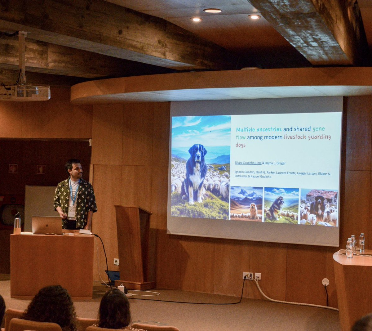 ECOGEN lab (@ecogencibio) on Twitter photo Very proud of our PhD student <a href="/diogofclima5/">Diogo Lima</a> who was awarded “Best talk” by his PhD fellows at the BioDiv Meeting ‘24, with his work on lifestock guarding dogs 🐶🐕🧬 Exciting news about his work soon 🔜 Very proud of our PhD student <a href="/diogofclima5/">Diogo Lima</a> who was awarded “Best talk” by his PhD fellows at the BioDiv Meeting ‘24, with his work on lifestock guarding dogs 🐶🐕🧬 Exciting news about his work soon 🔜