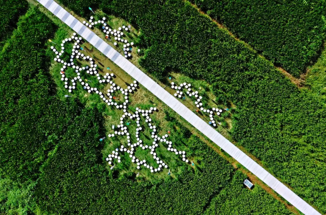 NingboFocus1's tweet photo. Recently, the TV series "#MyAltay" has become popular. The romantic mountain flowers and vast grasslands in the play have cured countless audiences. Not only in the Xinjiang, Zhejiang also has its own "Altay". [cr. Zhejiang Release] 🐂🐐🐎 https://t.co/HdYORf21DG
