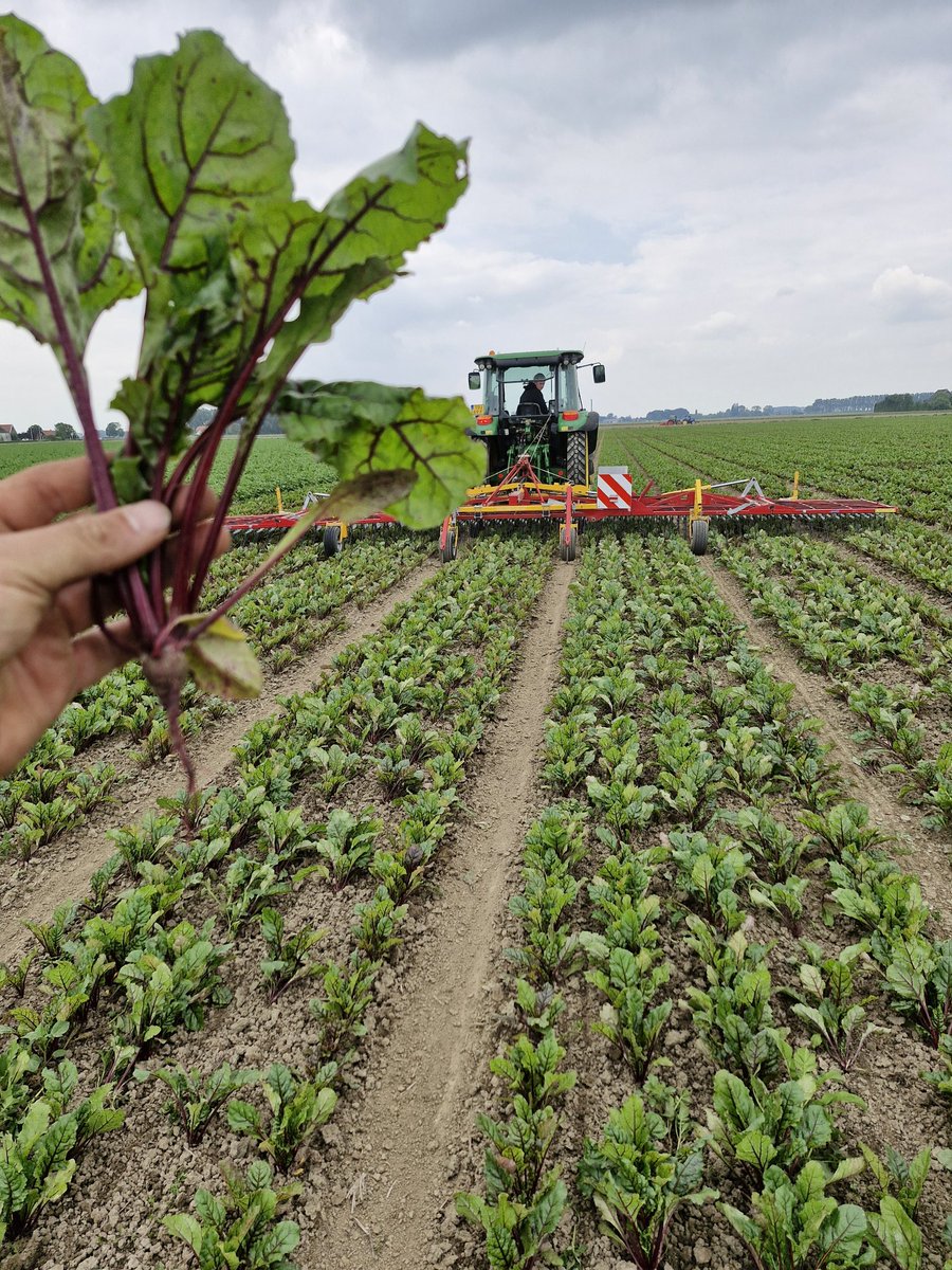 Reint Risseeuw tweet media