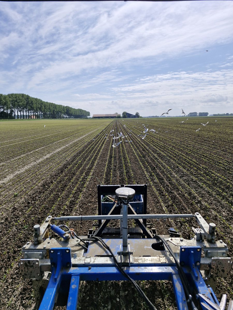 Reint Risseeuw tweet media