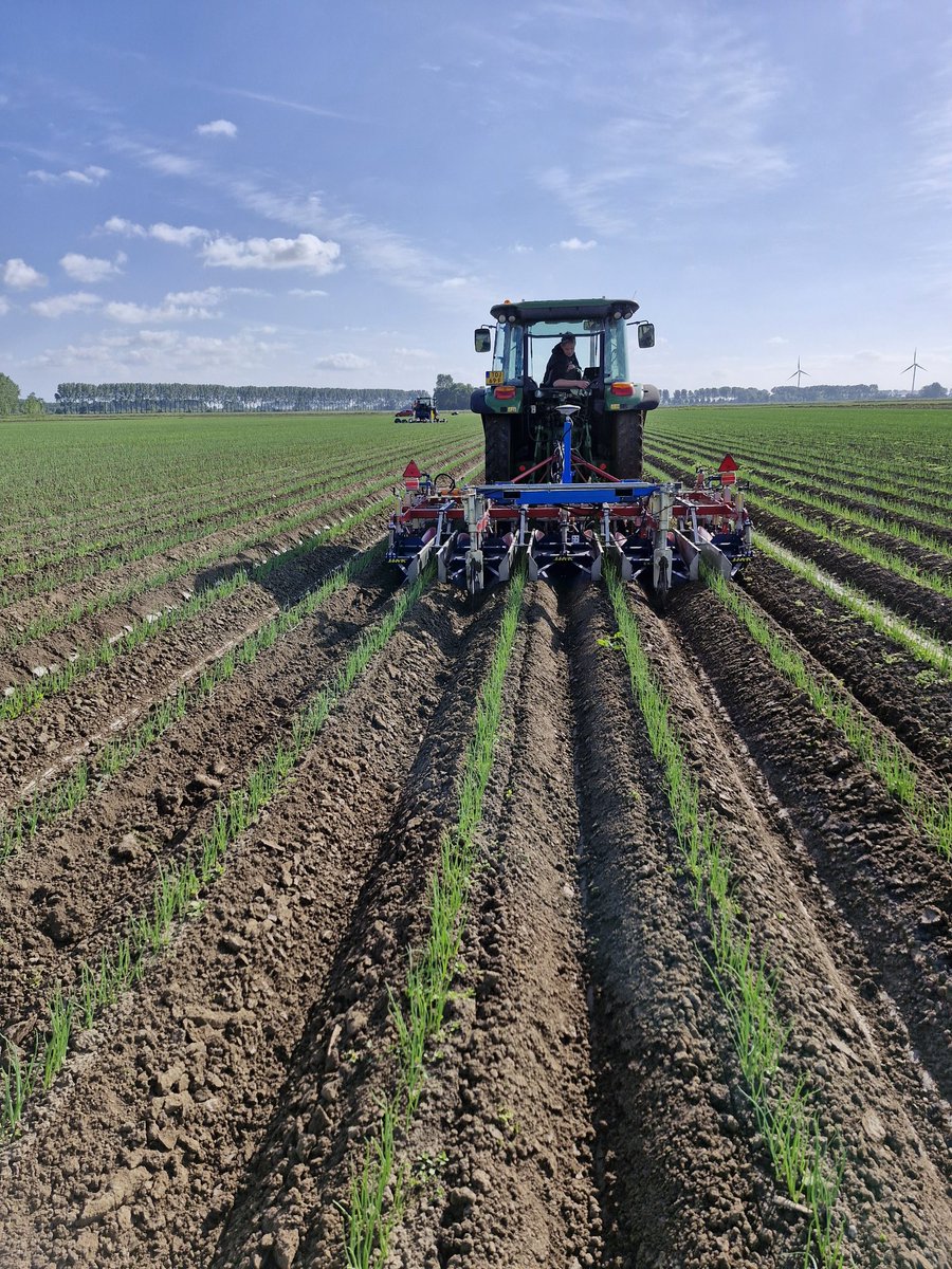 Reint Risseeuw tweet media