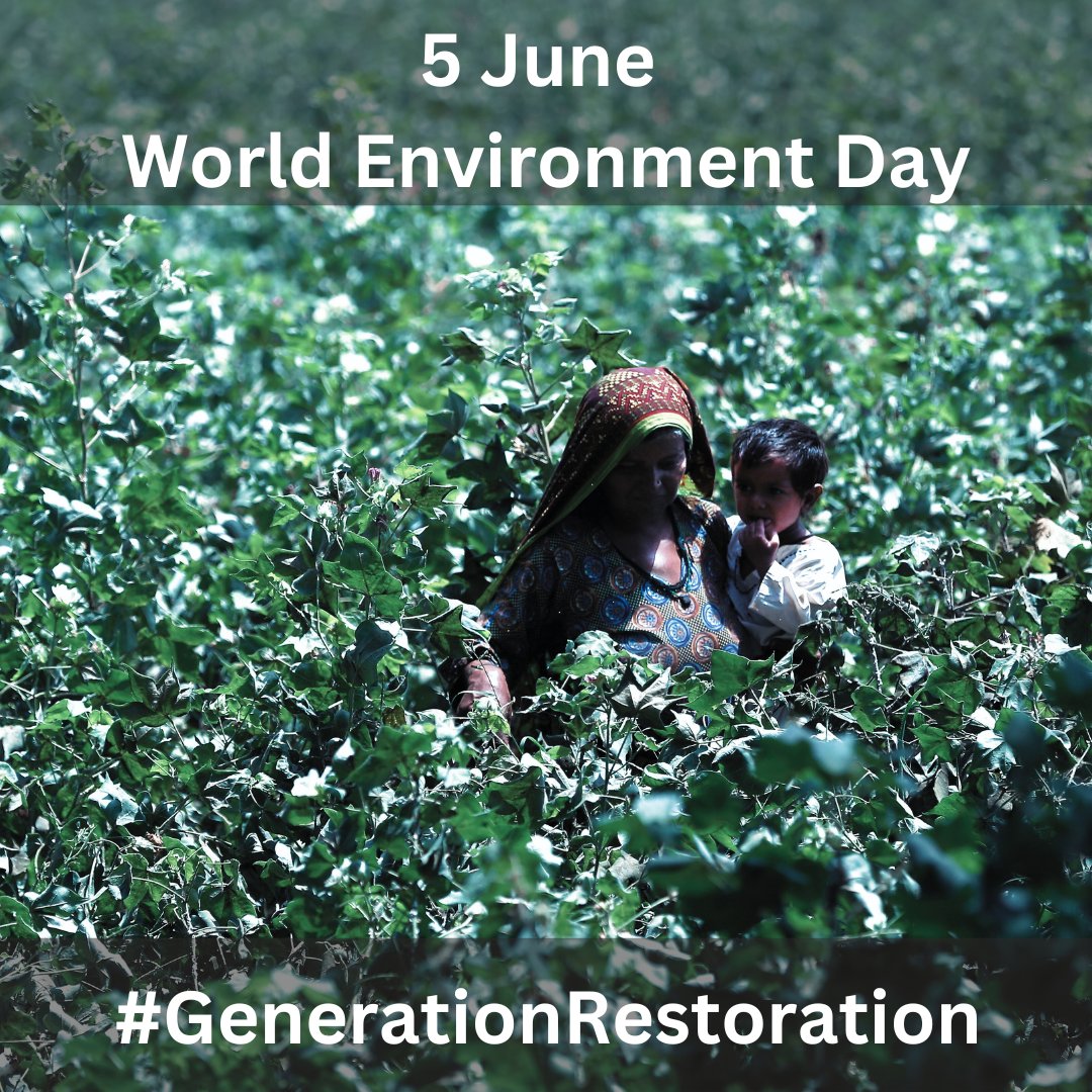 unwomen_pak's tweet photo. June 5th is #WorldEnvironmentDay!  This year, we're focusing on speeding up efforts in land restoration, combating desertification, and enhancing drought resilience.  Be part of #GenerationRestoration – together, let's rejuvenate and protect our land and soil. https://t.co/0iLyrBPRu7