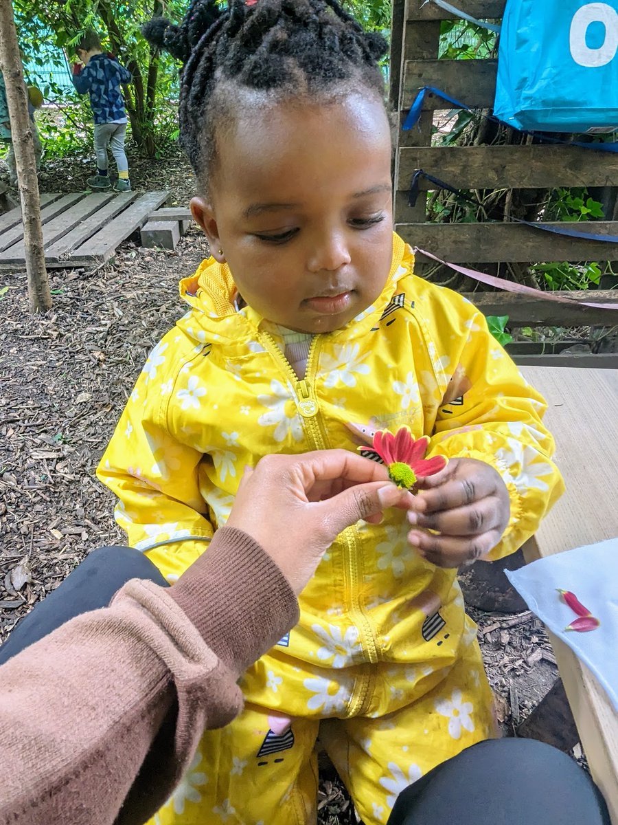 TWNrsry's tweet photo. * Weekly Activities - Oshibana *

 This week's activity was 'Oshibana'... the art of using pressed flowers and other botanical materials to create an entire picture from these natural elements. 

Blog link: https://t.co/Fu8YtkJYD4

#thewoodlandnursery #ForestSchool #TWNrsry https://t.co/qUrRfARTtt