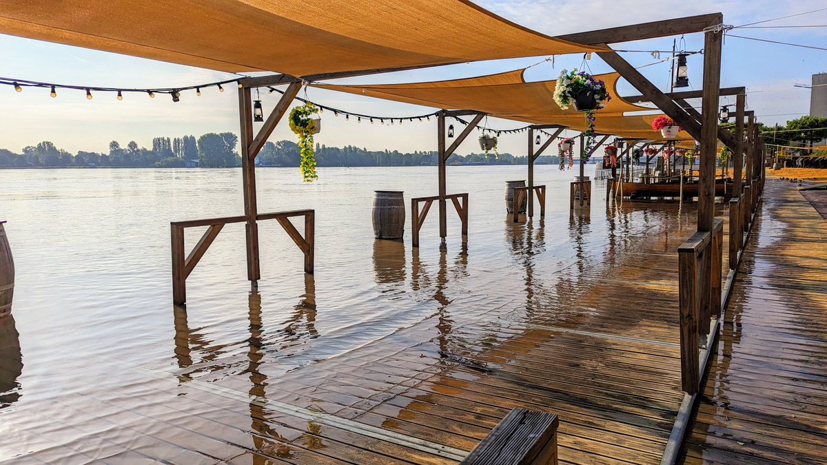 AndreasHorig's tweet photo. #Hochwasser #Mainz 
"Strand unter" am Ufer, Bilder vom 4.6.24, 09:00 Uhr https://t.co/wVxX8ivtMS