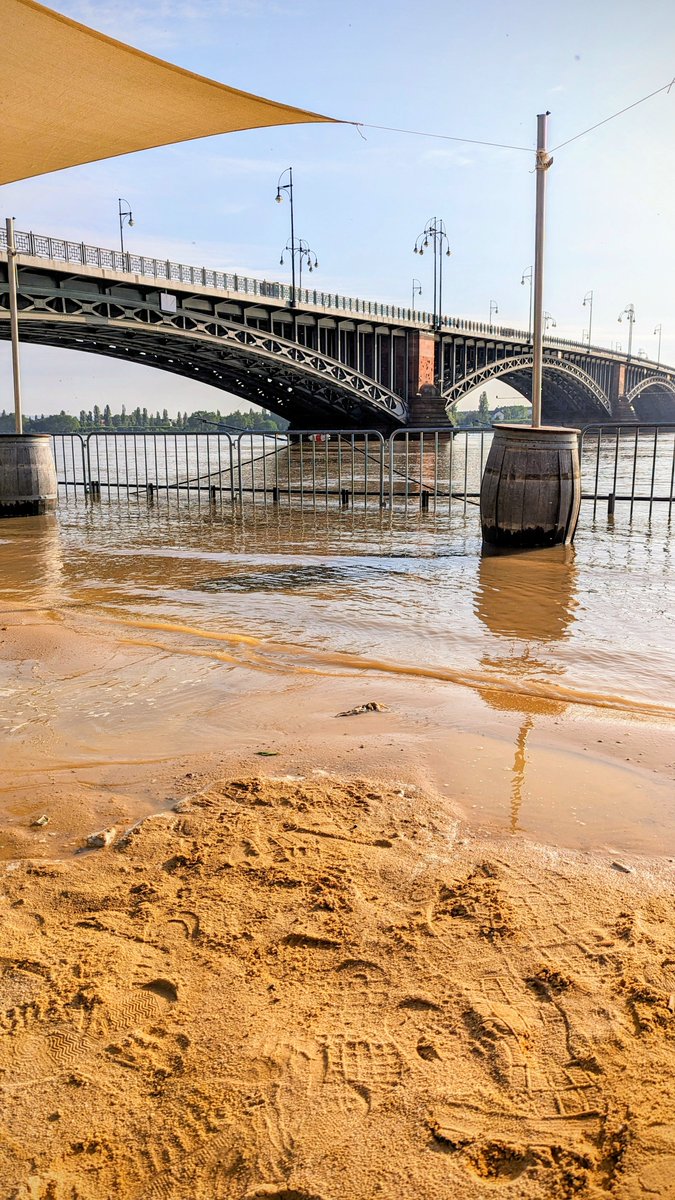 AndreasHorig's tweet photo. #Hochwasser #Mainz 
"Strand unter" am Ufer, Bilder vom 4.6.24, 09:00 Uhr https://t.co/wVxX8ivtMS