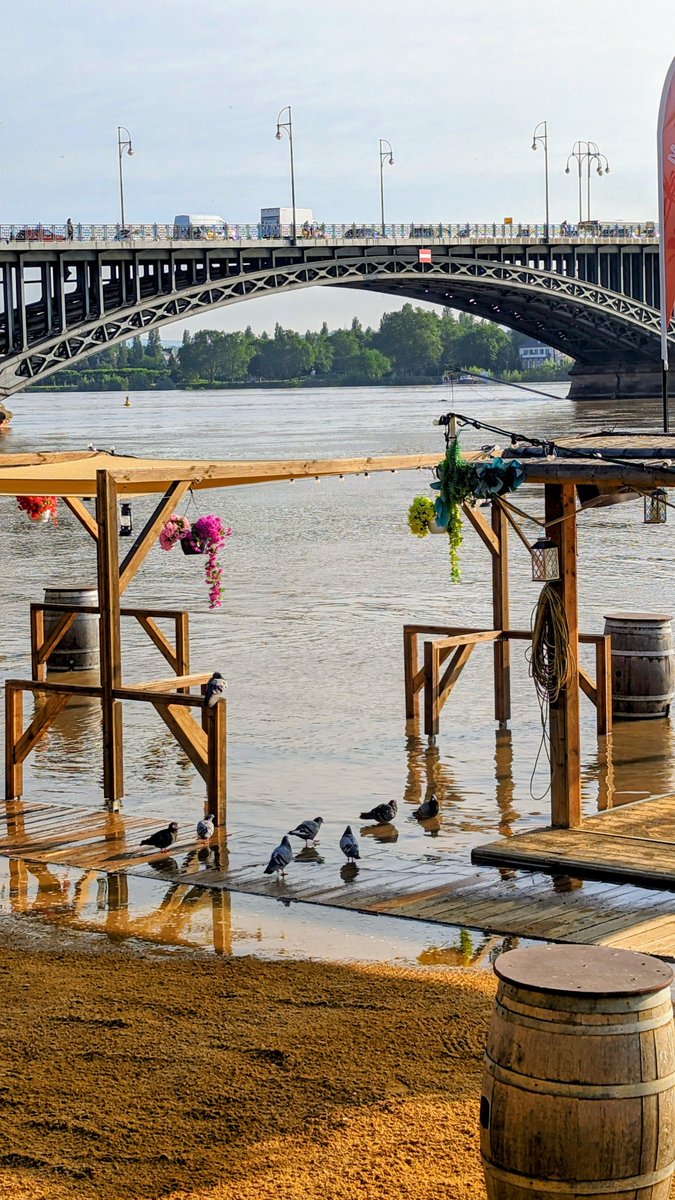 AndreasHorig's tweet photo. #Hochwasser #Mainz 
"Strand unter" am Ufer, Bilder vom 4.6.24, 09:00 Uhr https://t.co/wVxX8ivtMS