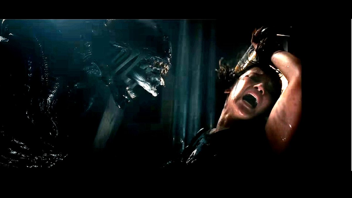 bemoldemarmol tweet media