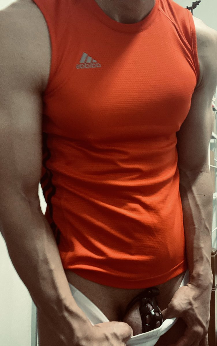 The new cage arrived today. Hope they will be more comfortable!