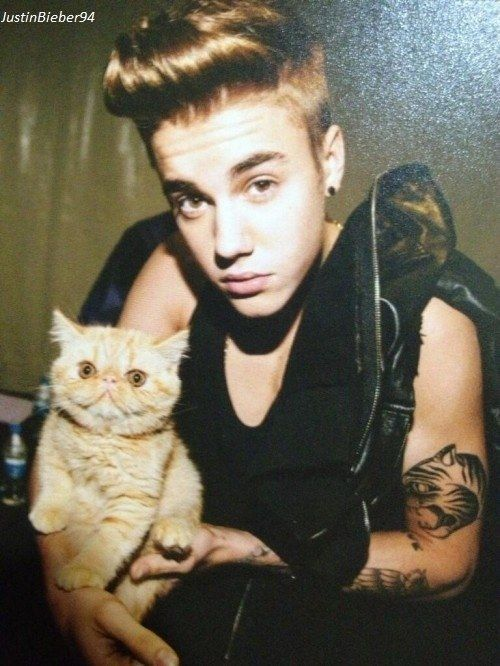 fity.eth tweet media