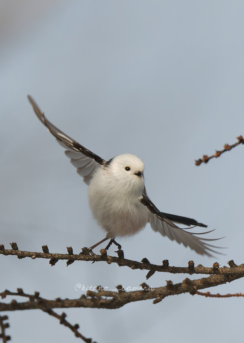 #自分が気に入ってる写真を1枚選んで無言で貼る