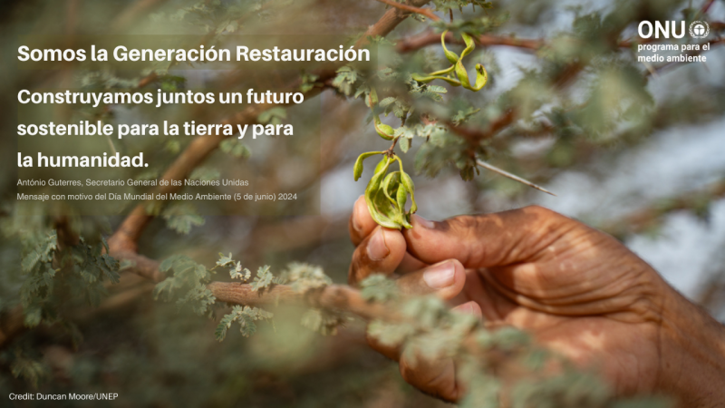 afadis_ucm's tweet photo. 5 de junio, 🌿🌺Día Internacional del Medio Ambiente. La ONU se centra este año 2024 en la restauración de tierras, la desertificación y la resiliencia a la sequía. Entre todos y todas podemos conseguir un futuro medioambiental mejor para las generaciones venideras. https://t.co/HrN3RCJCpq