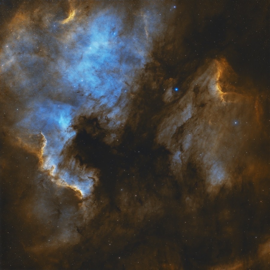 Ryan 👽 tweet media