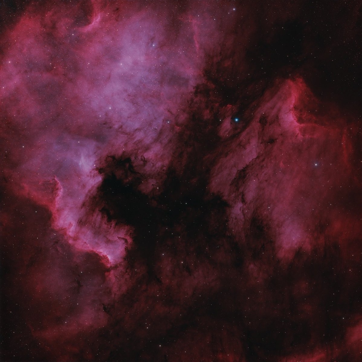 Ryan 👽 tweet media