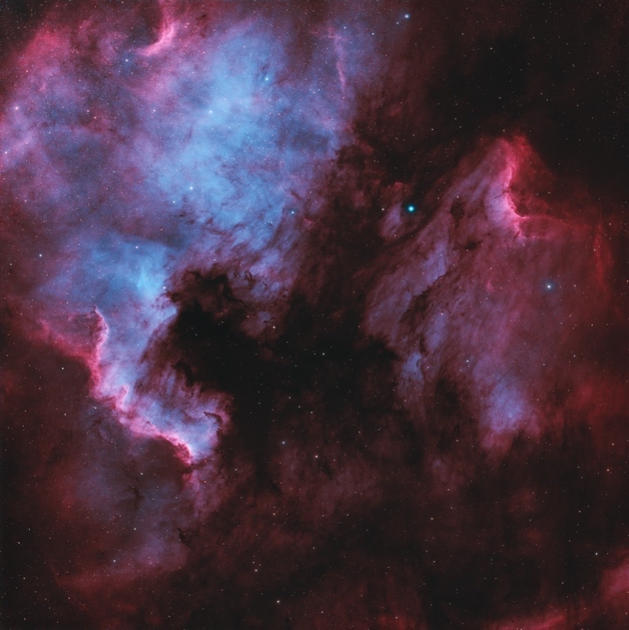 Ryan 👽 tweet media