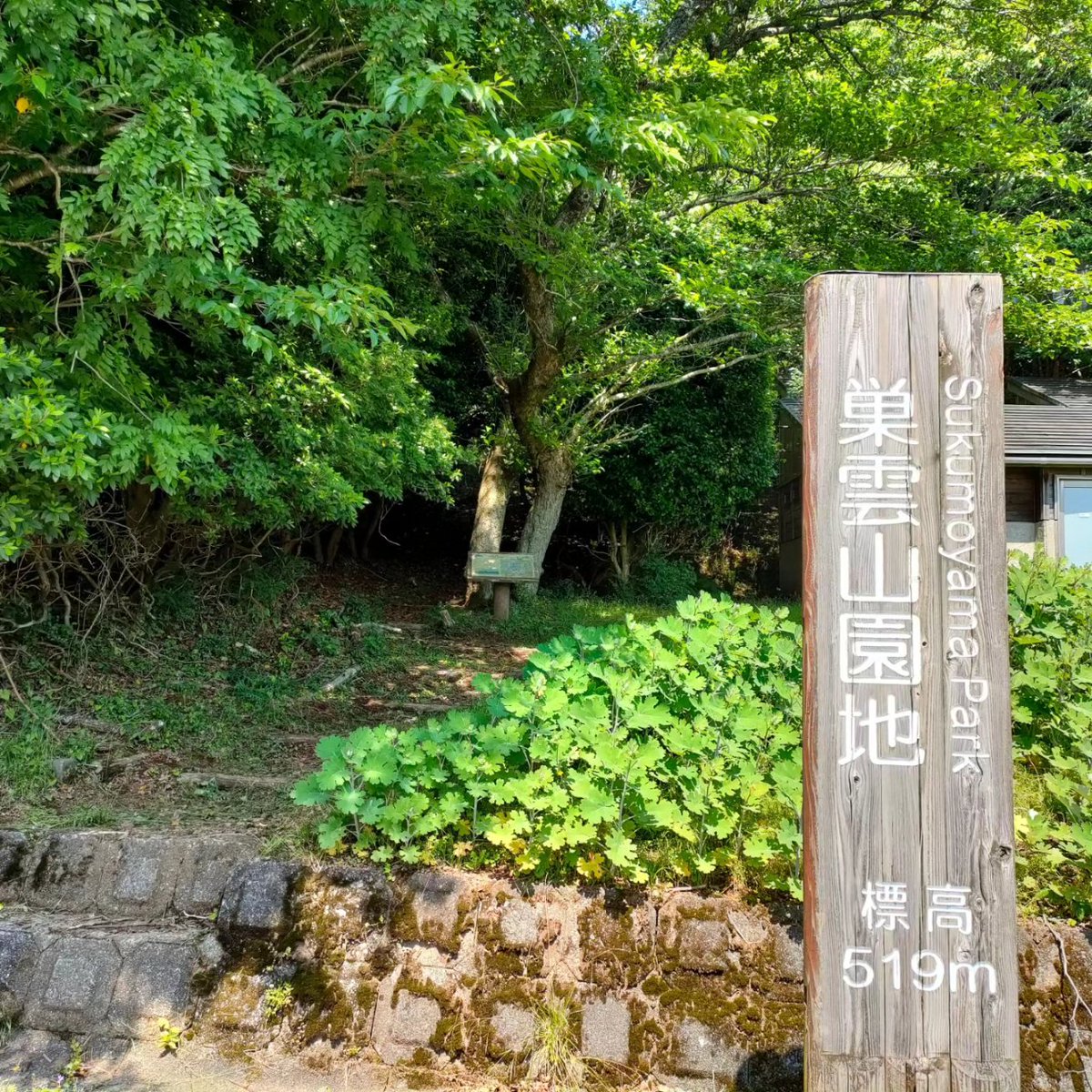 UsamiTourism's tweet photo. 本日は宇佐美観光会の有志一同による巣雲山山頂の草刈りでした。
天気は良かったですが、富士山は雲がかかって見えませんでした。
年々草刈り機を持っての山道を上がるのがキツくなってきます😅
でもいい汗かいて楽しかったです👍
#巣雲山 #宇佐美 #宇佐美観光会 #低山登山 https://t.co/9CLvBn9yjC