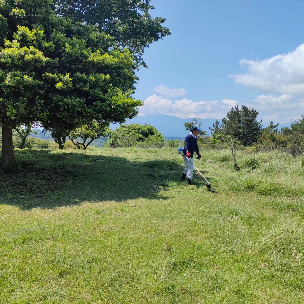 UsamiTourism's tweet photo. 本日は宇佐美観光会の有志一同による巣雲山山頂の草刈りでした。
天気は良かったですが、富士山は雲がかかって見えませんでした。
年々草刈り機を持っての山道を上がるのがキツくなってきます😅
でもいい汗かいて楽しかったです👍
#巣雲山 #宇佐美 #宇佐美観光会 #低山登山 https://t.co/9CLvBn9yjC