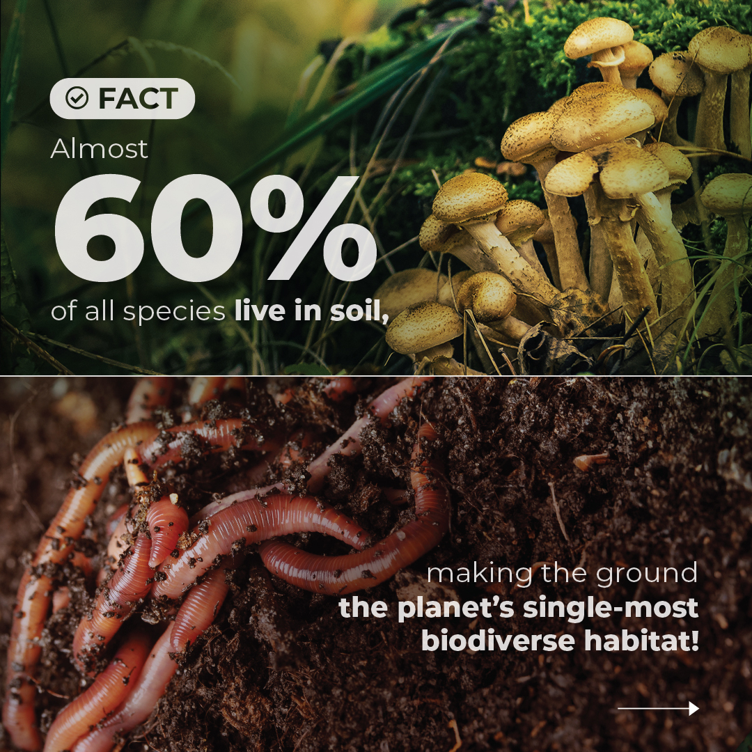 UNEP's tweet photo. Why is it critically important to protect lands and soil?

Here is why soil is essential for all life on Earth and get more #GenerationRestoration facts on #WorldEnvironmentDay.

https://t.co/f5wL0DBYDf