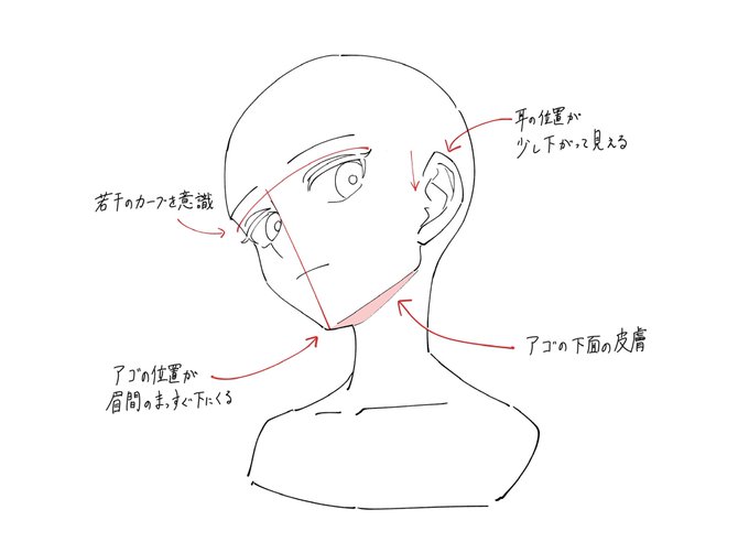 アオリ構図の顔を描くときのポイントメモです。 