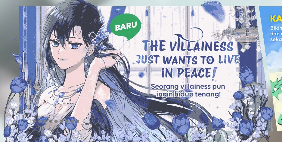 그레이캣 tweet media