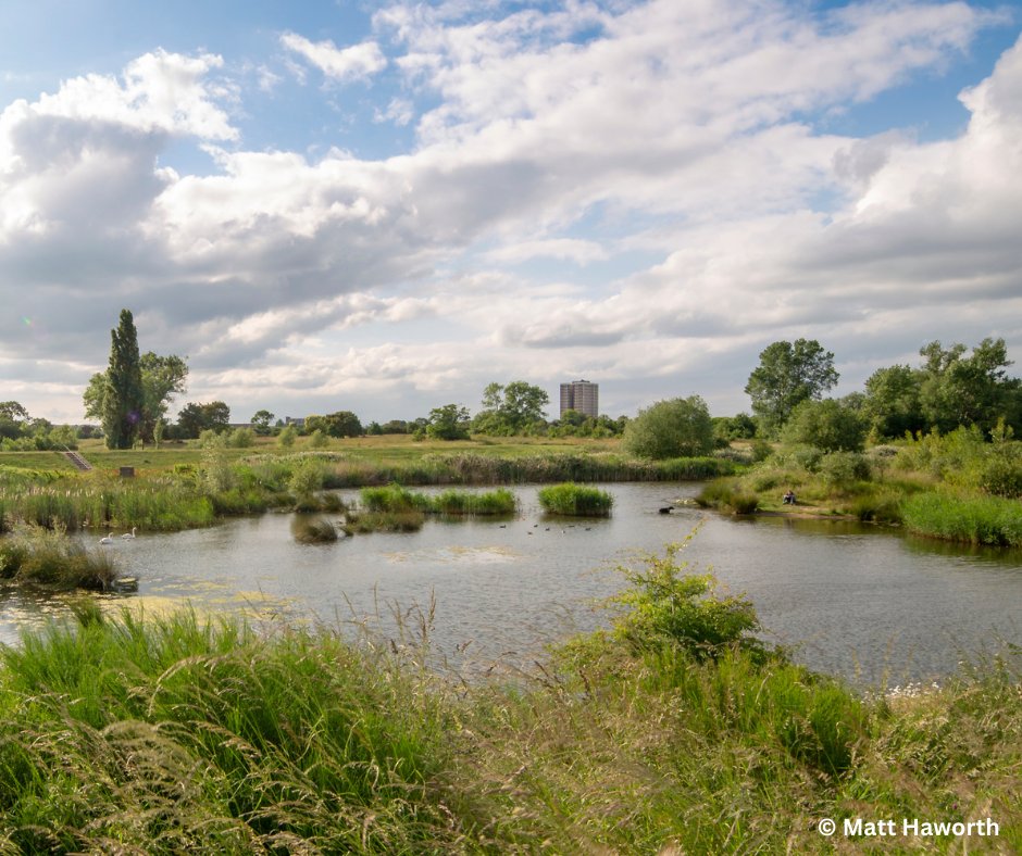 Today is #WorldEnvironmentDay. Led by UNEP and celebrated since 1973, World Environment Day aims to raise awareness and encourage action to protect nature.