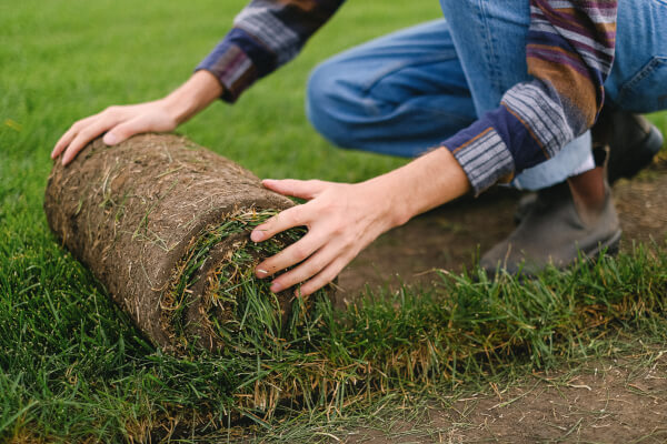 Is your garden summer-ready? 🤔☀️

If you want fresh turf that’ll be sure to impress, check out our guide to prepping, raking and laying the perfect turf. 🍃

Read more:  hayter.co.uk/blog/is-your-g…