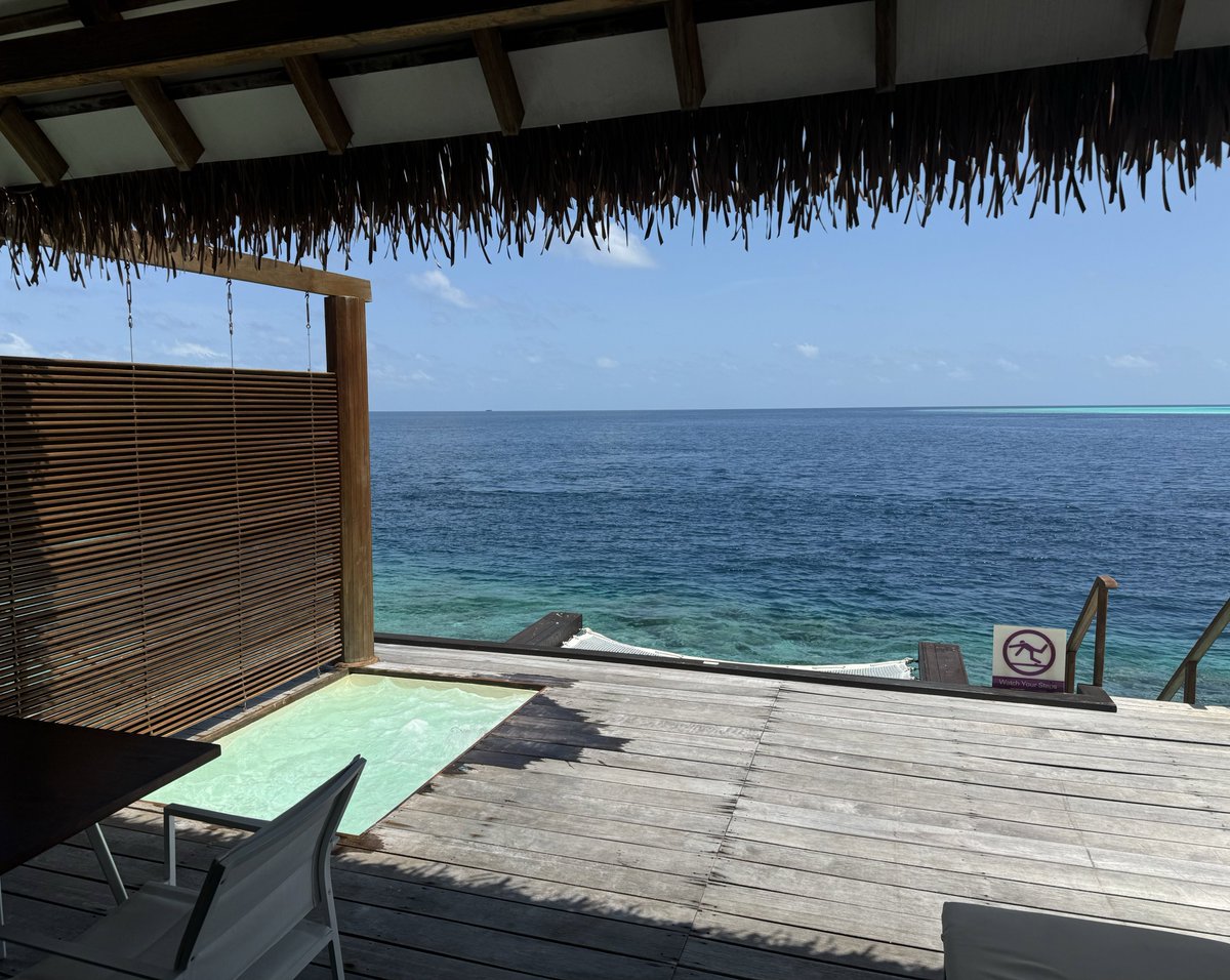 Matt FF Dynasty 🏈 tweet media