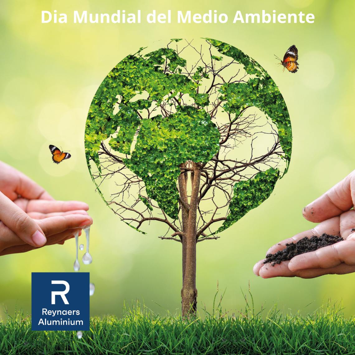 🌱 Hoy celebramos el Día Mundial del Medio Ambiente 2024 que se centra en la restauración de las tierras, la resiliencia a la sequía y la desertificación, bajo el lema:

Nuestras tierras. Nuestro futuro. Somos la #GeneraciónRestauración. 🌱

#ReynaersAluminium #TogetherForBetter