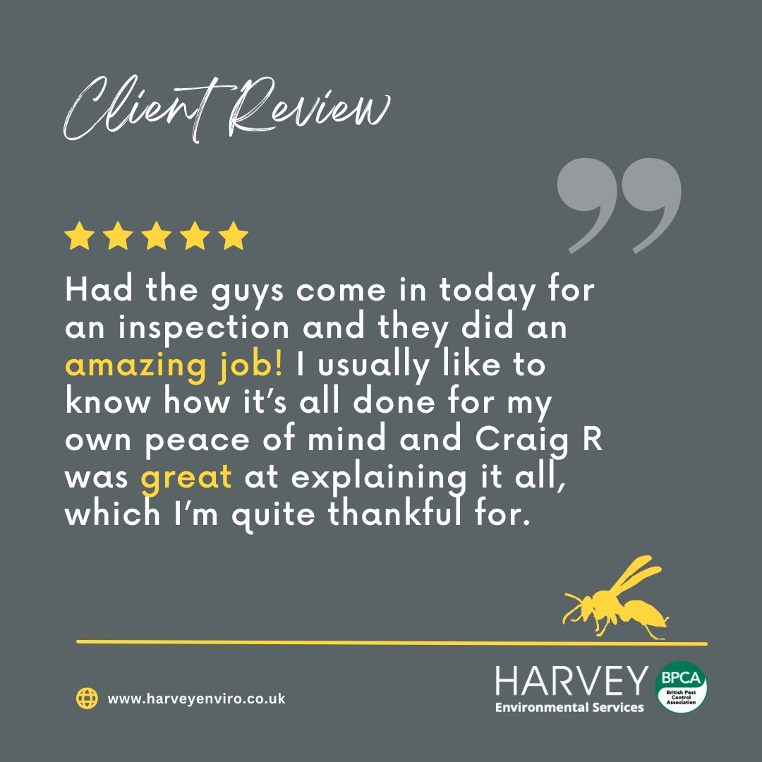 harveyenviro's tweet photo. We pride ourselves on many things, especially excellent customer care and transparency, so it makes our day to get feedback like this from our valued clients. 🤩

#pestcontrol #happyclients #environmentalservices #protectyourbusiness https://t.co/CtUDgwviri