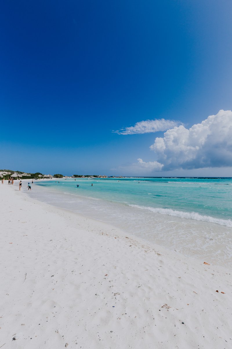 Baby Beach è sempre una buona idea, soprattutto per i vostri bambini!
Ps: vi ricordiamo che Aruba è un'isola molto sicura! Le numerose attività, la popolazione gentile e l'alta qualità dell'offerta turistica la rendono una destinazione ideale per chi viaggia con bimbi piccoli