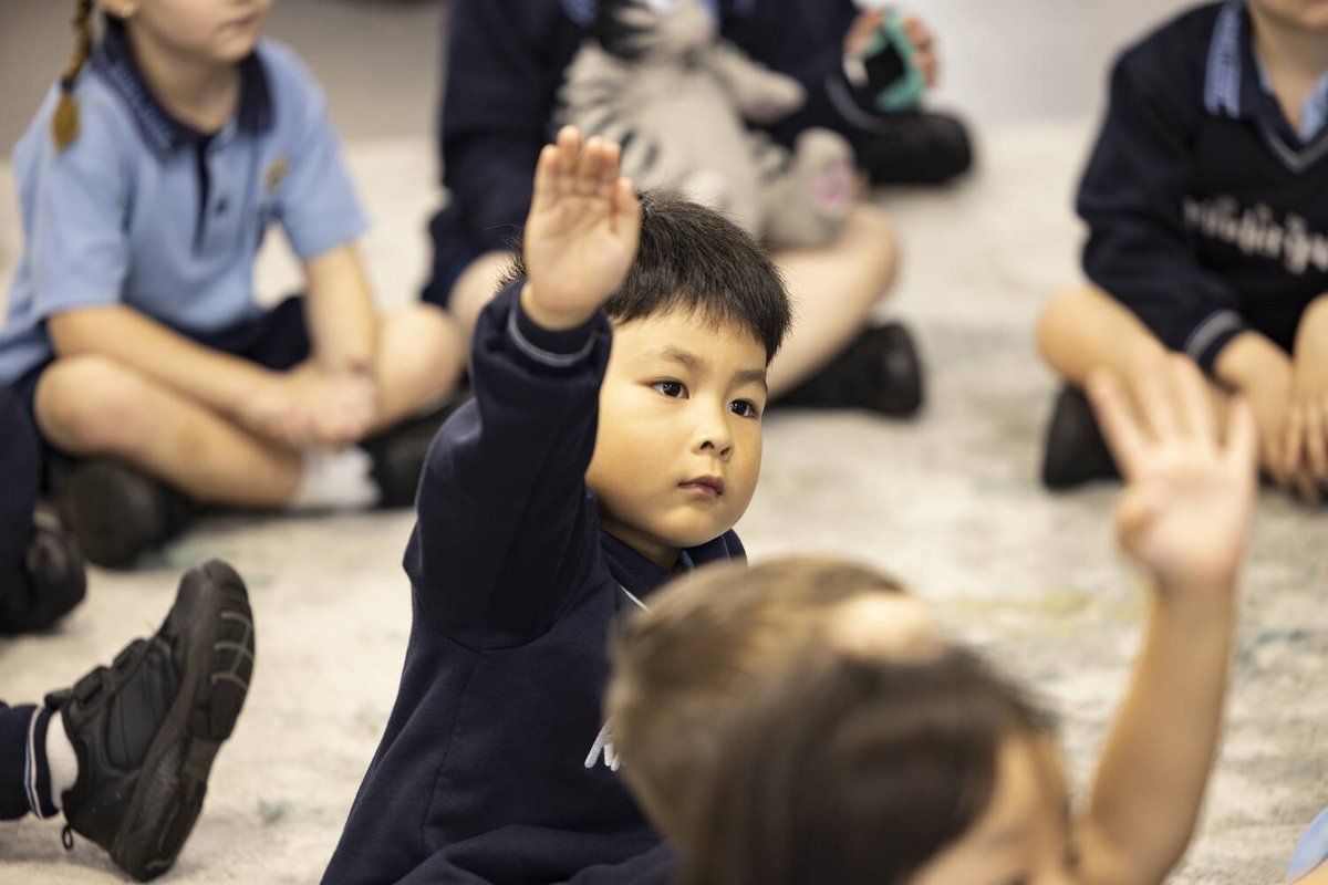 sheldoncollege tweet media