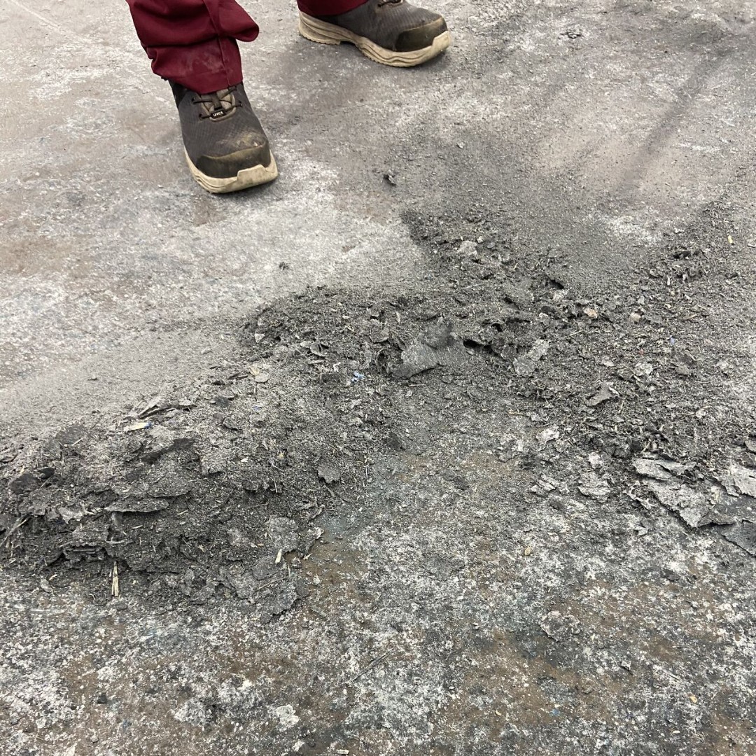 TruvoxInt's tweet image. Freezer room floors are no match for the Cimex Heavy Duty! All our HD models are supplied with two 17kg ballast weights for more aggressive scarifying, providing outstanding results every time. 

#cimex #scarifying #floorpreparation #beforeandafter #cleaningmachines